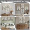 Madison Park Herbal Botany 4-Piece Botanical Illustration Framed Canvas Wall Art Set, Natural Vintage Plant Prints with Wood Grain Frame, Botanical Wall Décor for Bedroom, Living Room, Bathroom, or Entryway