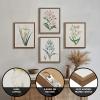 Madison Park Herbal Botany 4-Piece Botanical Illustration Framed Canvas Wall Art Set, Natural Vintage Plant Prints with Wood Grain Frame, Botanical Wall Décor for Bedroom, Living Room, Bathroom, or Entryway