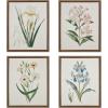 Madison Park Herbal Botany 4-Piece Botanical Illustration Framed Canvas Wall Art Set, Natural Vintage Plant Prints with Wood Grain Frame, Botanical Wall Décor for Bedroom, Living Room, Bathroom, or Entryway