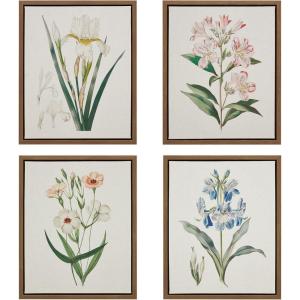 Madison Park Herbal Botany 4-Piece Botanical Illustration Framed Canvas Wall Art Set, Natural Vintage Plant Prints with Wood Grain Frame, Botanical Wall Décor for Bedroom, Living Room, Bathroom, or Entryway