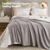Madison Park 100% Egyptian Cotton Lightweight Summer Blanket, Breathable Waffle Knit Design, Soft Cozy All-Season Throw for Bed, Couch or Sofa, Sage Green Full/Queen Size (90″x90″)(Grey)
