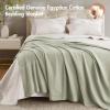 Madison Park 100% Egyptian Cotton Lightweight Summer Blanket, Breathable Waffle Knit Design, Soft Cozy All-Season Throw for Bed, Couch or Sofa, Sage Green Full/Queen Size (90″x90″)(Sage Green)