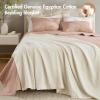 Madison Park 100% Egyptian Cotton Lightweight Summer Blanket, Breathable Waffle Knit Design, Soft Cozy All-Season Throw for Bed, Couch or Sofa, Sage Green Full/Queen Size (90″x90″)(Cream)
