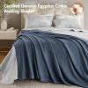 Madison Park 100% Egyptian Cotton Lightweight Summer Blanket, Breathable Waffle Knit Design, Soft Cozy All-Season Throw for Bed, Couch or Sofa, Sage Green Full/Queen Size (90″x90″)(Blue)