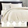 Madison Park Quebec Quilt Set – Luxurious Damask Stitching Design, Cotton Filled Lightweight Coverlet Bedspread Bedding, Shams, Full/Queen(90″x90″), Cream 3 Piece(Cream)