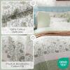 Madison Park Queen Quilt Set Cotton Coverlet Set with Cotton Filling for Queen Size Bed, All Season, Lightweight Queen Cotton Quilt Include Shams, & Décor Pillows, Dawn, Full/Queen Sage Green 6 Piece(Sage Green)
