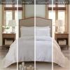 Madison Park Tufted Chenille 100% Cotton Duvet- Modern Luxe All Season Comforter Cover Bed Set with Matching Shams, Full/Queen(90″x90″), Palm Leaf Off White 3 Piece(Bahari  Palm Leaf White)