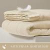 Madison Park Twin Blanket Quilted Microfiber, Satin Binding, 3M Scotchgard Moisture Wicking Treatment, Soft and Lightweight Summer Blanket for Couch, Windom, Twin, Orange(Satin Trim  Cream)