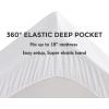 Madison Park Waterproof Queen Mattress Protector, Cloud Soft Plush Mattress Cover, Overfilled Mattress Pad, Fitted Pocket Fits Up to 18 Inch, Machine Washable Bed Cover, White Queen(California King)