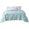 Madison Park Cambria Down Alternative Blanket, Premium 3M Scotchgard Moisture Wicking Treatment, Lightweight and Soft Bed Cover For Summer with Satin Trim, Oversized King Aqua