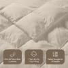 Madison Park Queen Comforter, Overfilled High Desity Down Alternative Fill Winter, 3D Puff Jump Tack Quilted Microfiber Fluffy Comforter, Corner Loops, Stay Puffed, Full/Queen, White(Tan)