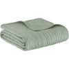 Madison Park Luxe Quilted Throw Blanket – Damask Stitching Design, Cotton Filled Spread, Ultra Soft, Cozy Bedding for Living Room Couch, Sofa, Bed, 60×72″, Scalloped Borders Cream(Scalloped Edges Seafoam)