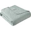 Madison Park Luxe Quilted Throw Blanket – Damask Stitching Design, Cotton Filled Spread, Ultra Soft, Cozy Bedding for Living Room Couch, Sofa, Bed, 60×72″, Scalloped Borders Cream(Seafoam)