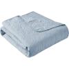 Madison Park Luxe Quilted Throw Blanket – Damask Stitching Design, Cotton Filled Spread, Ultra Soft, Cozy Bedding for Living Room Couch, Sofa, Bed, 60×72″, Scalloped Borders Cream(Blue)