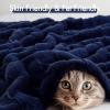 Madison Park Luxuriously Cozy Soft Long Faux Fur Basketweave Blanket, Reversible Soft & Snuggly Velvet Throw, Lightweight, Breathable, All Season, Trendy Room Décor, 50×60, Tan(Navy)