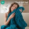 Madison Park Ruched Luxury Throw Premium Soft Cozy Brushed Long Faux Fur for Bed, Couch or Sofa, 50″x60″, Purple(Teal)