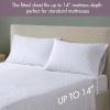 Madison Park Queen Comforter Set with Sheets, Floral Print, Microfiber Comforter for a Queen-Size Bed, Shabby Chic Bed in a Bag Set Diamond Printed Sheet, Alice, Queen Mauve 7 Piece(Mauve)