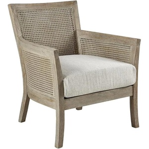 Madison Park Paulie Accent Chair