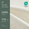 Madison Park Millstreet Waffle Weave Hand Towel Set of 2, 20 x 30, Green